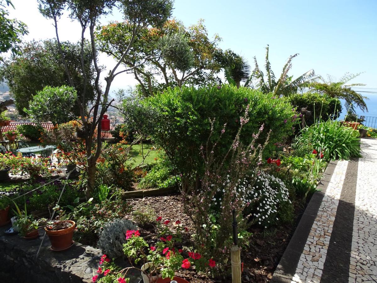 La Chambre De Ker Briac Funchal  Bagian luar foto