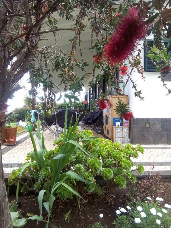 La Chambre De Ker Briac Funchal  Bagian luar foto